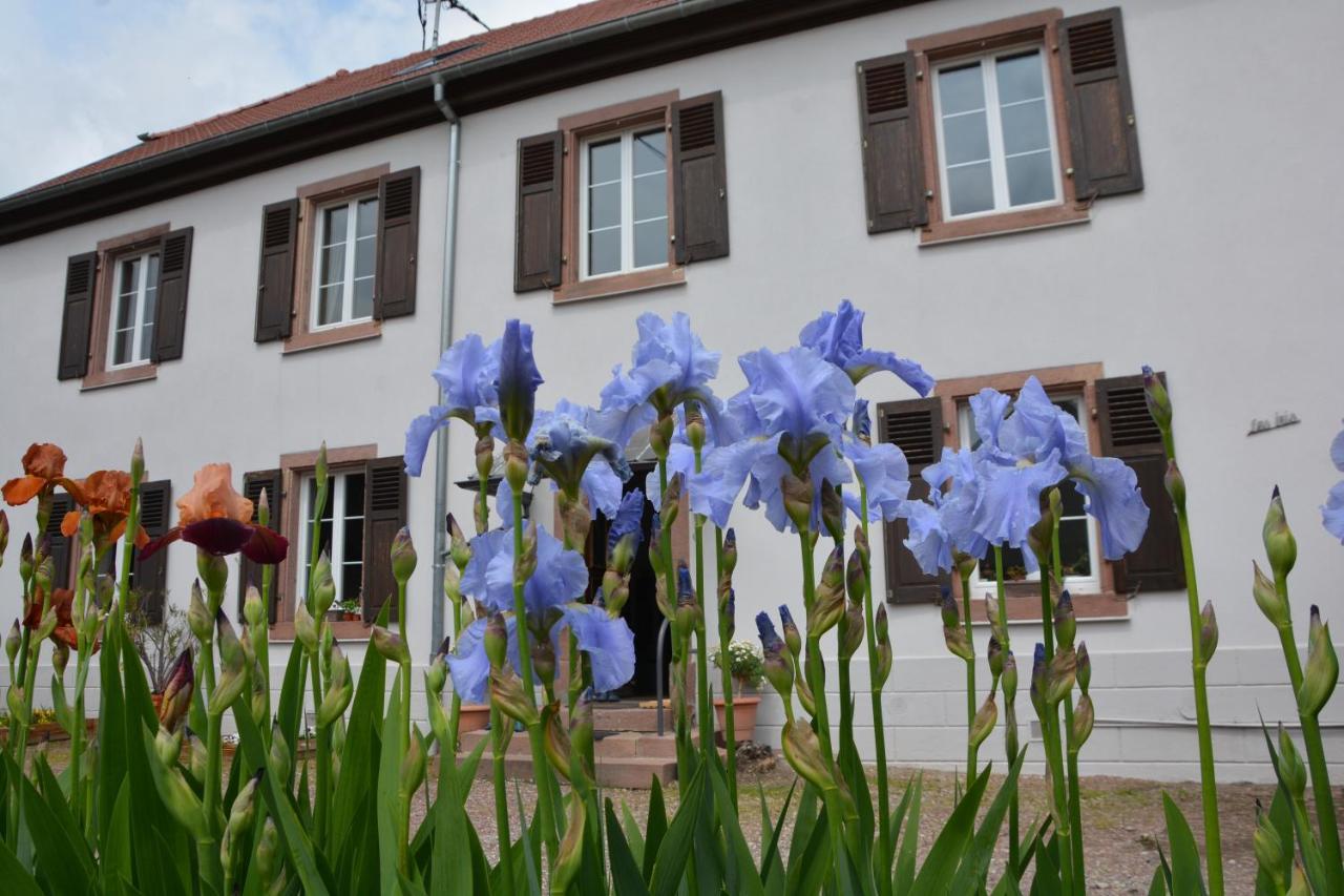 Ferienwohnung Ferme Les Iris Issenheim Exterior foto