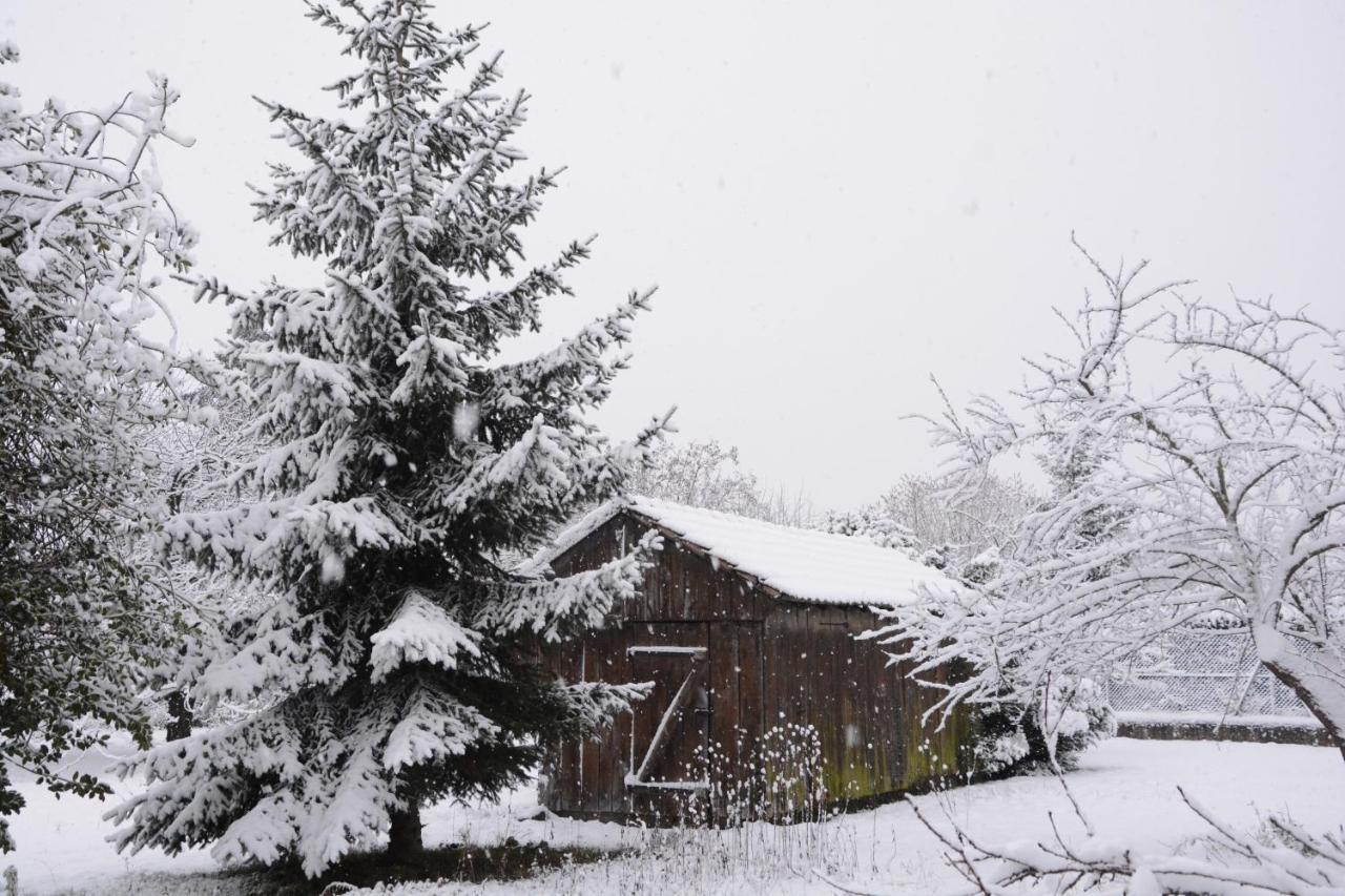 Ferienwohnung Ferme Les Iris Issenheim Exterior foto